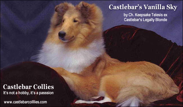 Castlebar's Vanilla Sky