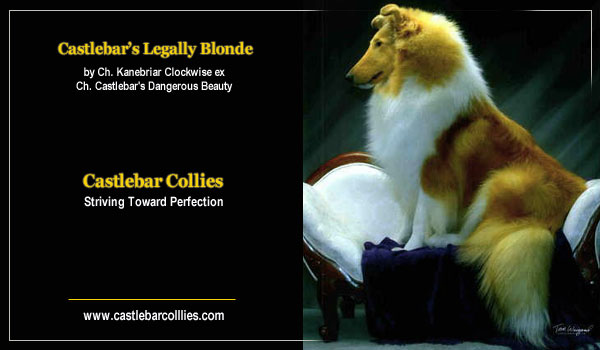Castlebar's Legally Blonde