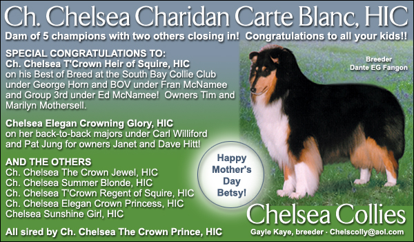 Ch. Chelsea Charidan Carte Blanc, HIC