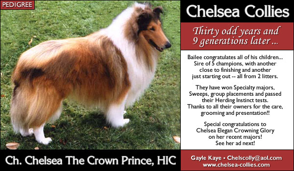 Ch. Chelsea The Crown Prince, HIC