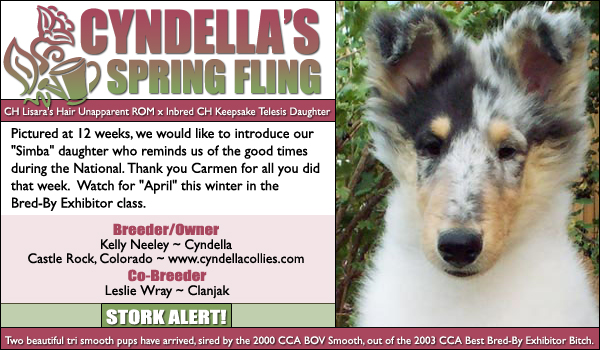 Cyndella's Spring Fling