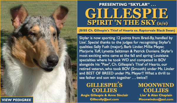 Gillespie Spirit 'N The Sky