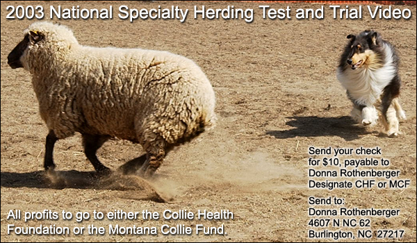 2003 Herding Test and Trial Video