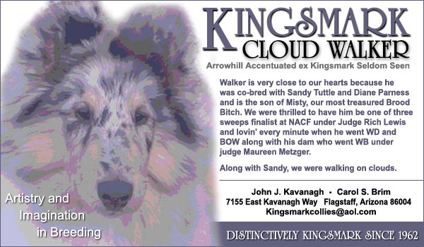 Kingsmark Cloud Walker