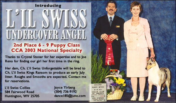 L'il Swiss Undercover Angel