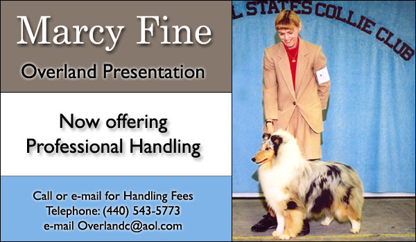 Marcy Fine, Professional Handling