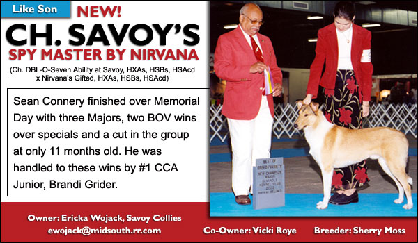 Ch. Savoy's Spy Master By Nirvana