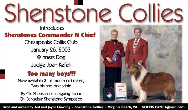 Shenstones Commander N Chief