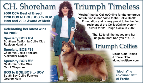 Ch. Shoreham Triumph Timeless