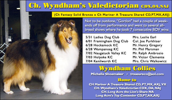 Ch. Wyndham's Valedictorian CDX, OA, NAJ