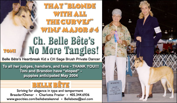 Ch. Belle Bete's No More Tangles