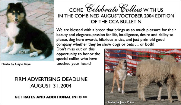 Collie Club of America Bulletin