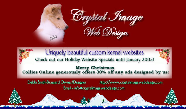 Crystal Image Web Design