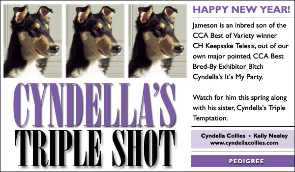 Cyndella's Triple Shot