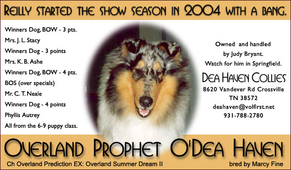 Overland Prophet O'Dea Haven