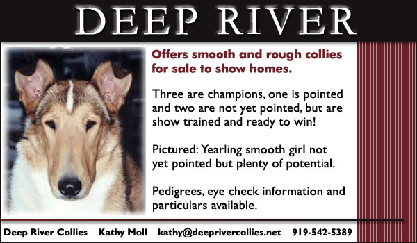 Deep River Collies