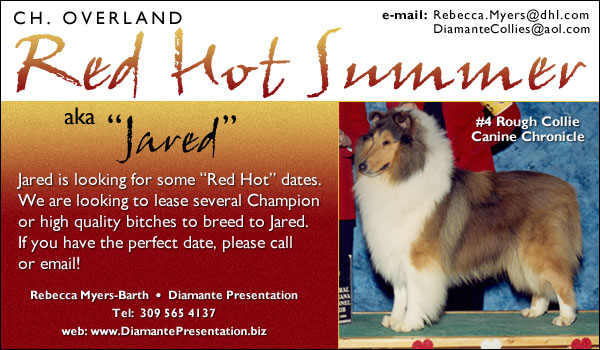 Ch. Overland Red Hot Summer