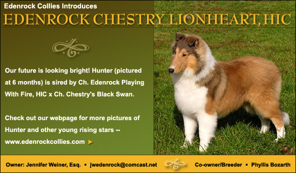 Edenrock Chestry Lionheart, HIC