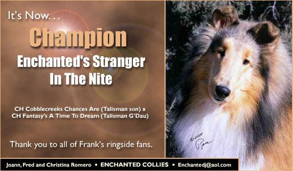 Ch. Enchanted's Stranger In The Night