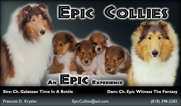 Epic Collies