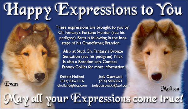 Fantasy Collies and Bellvue Collies