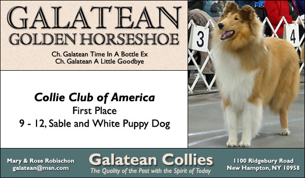 Galatean Golden Horseshoe