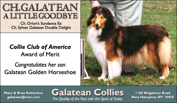Ch. Galatean A Little Goodbye