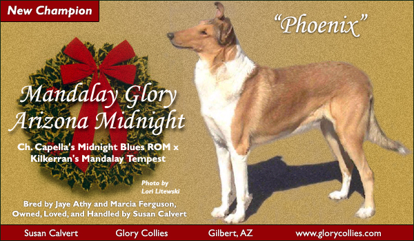 Ch. Mandalay Glory Arizona Midnight
