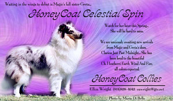 Honeycoat Celestial Spin