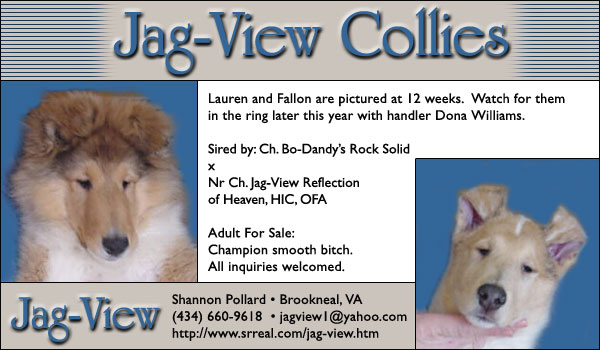 Jag View Collies