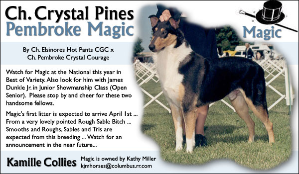 Ch. Crystal Pines Pembroke Magic