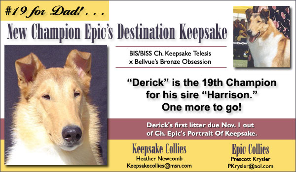 Ch. Epic's Destination Keepsake