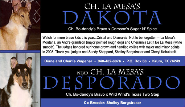 Ch. La Mesa's Dakota and La Mesa's Desporado