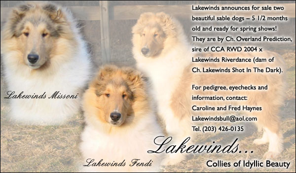 Lakewinds Collies