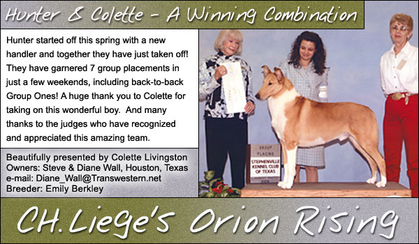 Ch. Liege's Orion Rising