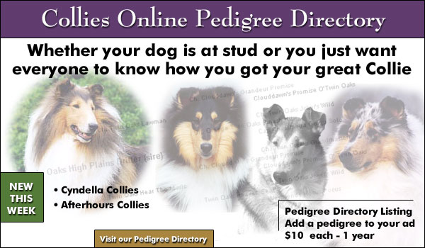 Collies Online Pedigree Directory
