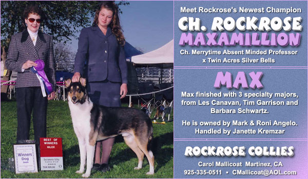Ch. Rockrose Maxamillion