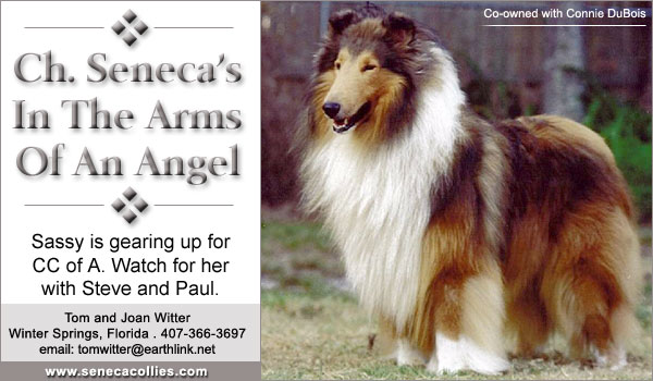 Ch. Seneca's In The Arms Of An Angel
