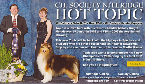 Ch. Society Niteridge Hot Topic
