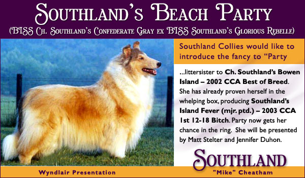 Southland's Beach Party