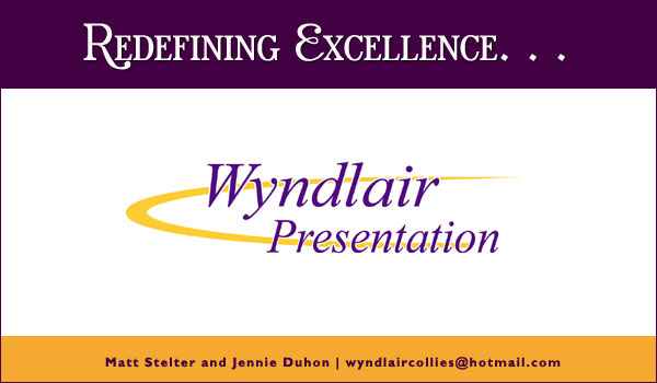 Wyndlair Presentation
