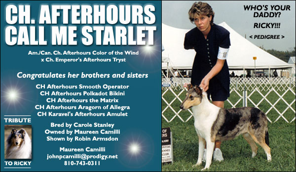 Ch. Afterhours Call Me Starlet