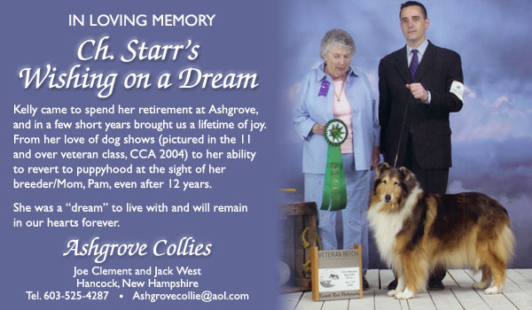Ashgrove Collies: Ch. Starr's Wishing On A Dream