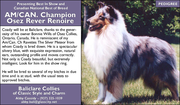 Baliclare Collies -- Am/Can. Ch. Osez Rever Renoire