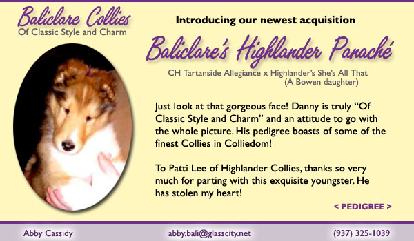 Baliclare's Highlander Panache