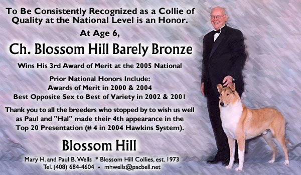 Ch. Blossom Hill Barely Bronze