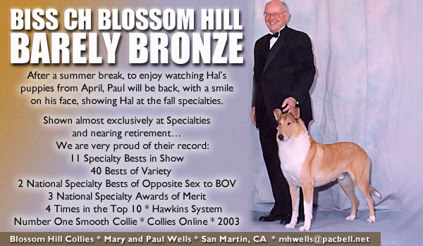 Ch. Blossom Hill Barely Bronze