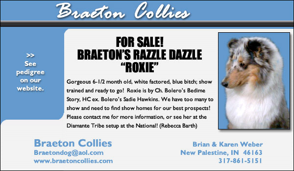 Braeton's Razzle Dazzle