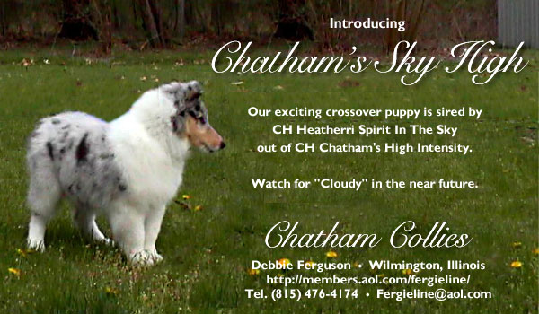 Chatham's Sky High