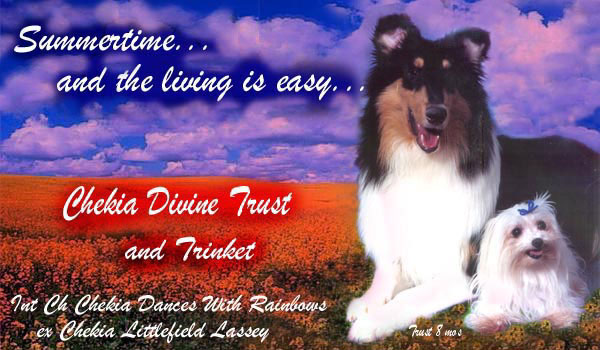 Chekia Divine Trust and Trinket